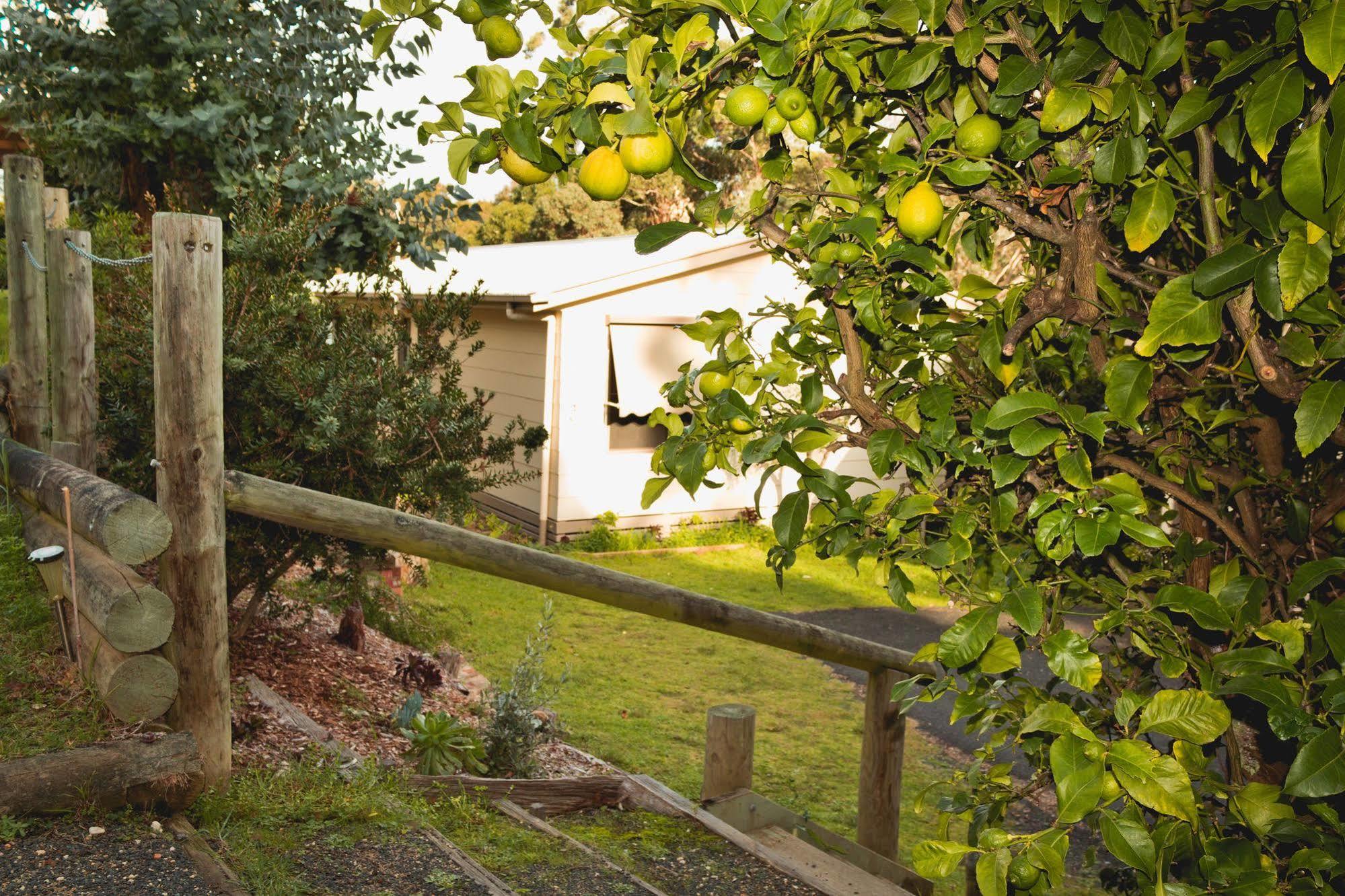Apartament Jetty Road Retreat Nungurner Zewnętrze zdjęcie